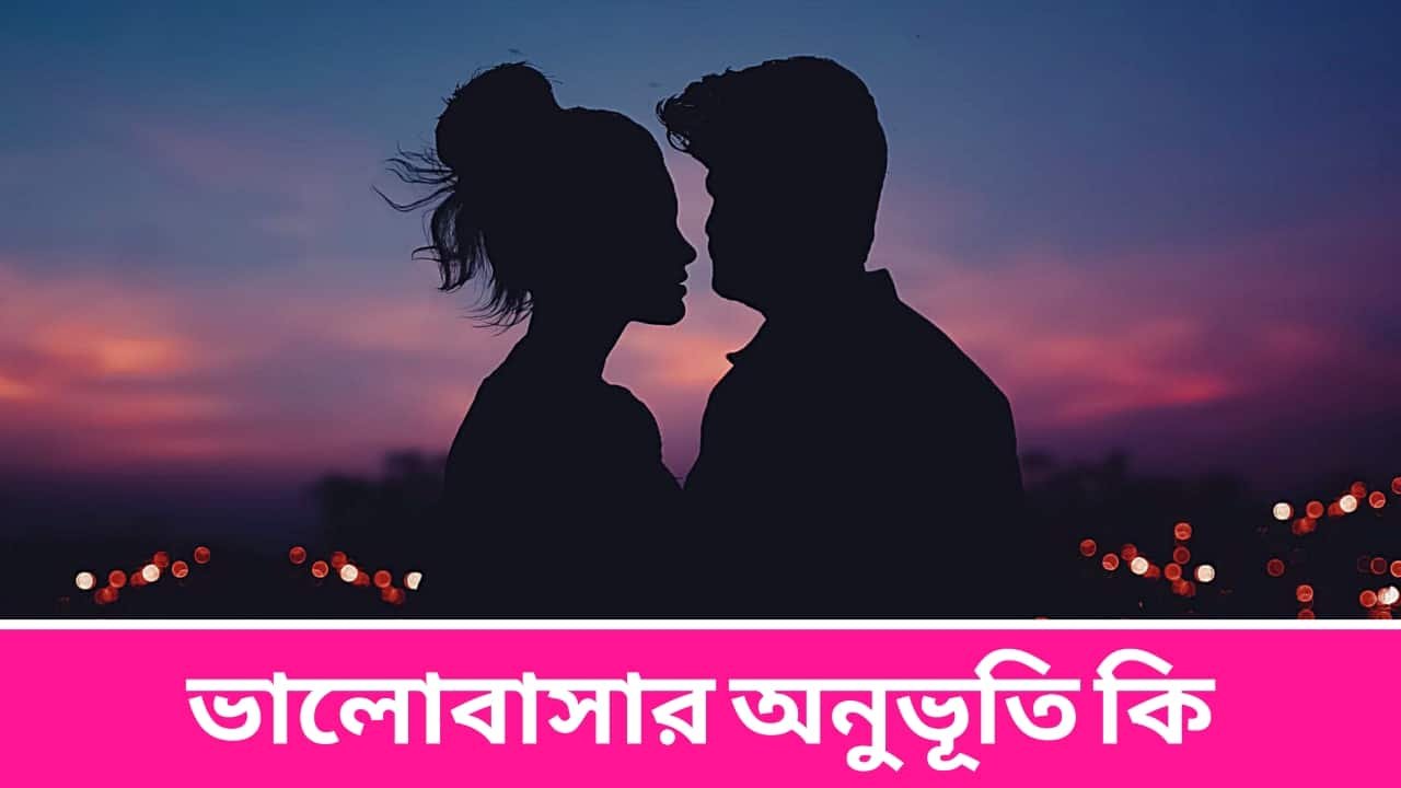 ভালোবাসার অনুভূতি কি