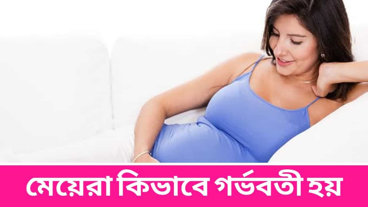 মেয়েরা কিভাবে গর্ভবতী হয়