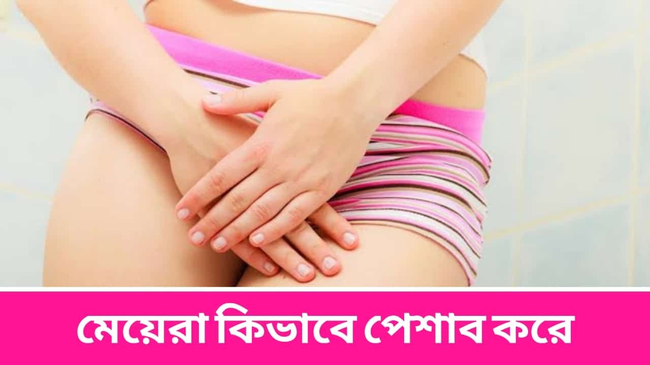 মেয়েরা কিভাবে পেশাব করে