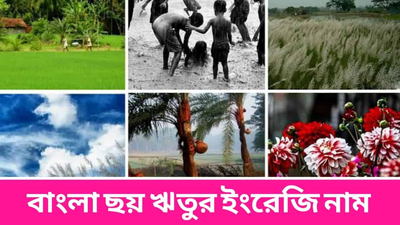 All Seasons Name in English and Bengali