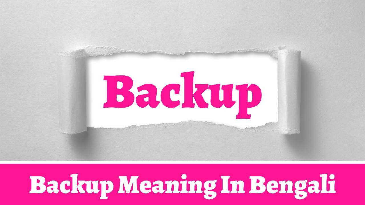 Backup Meaning in Bengali