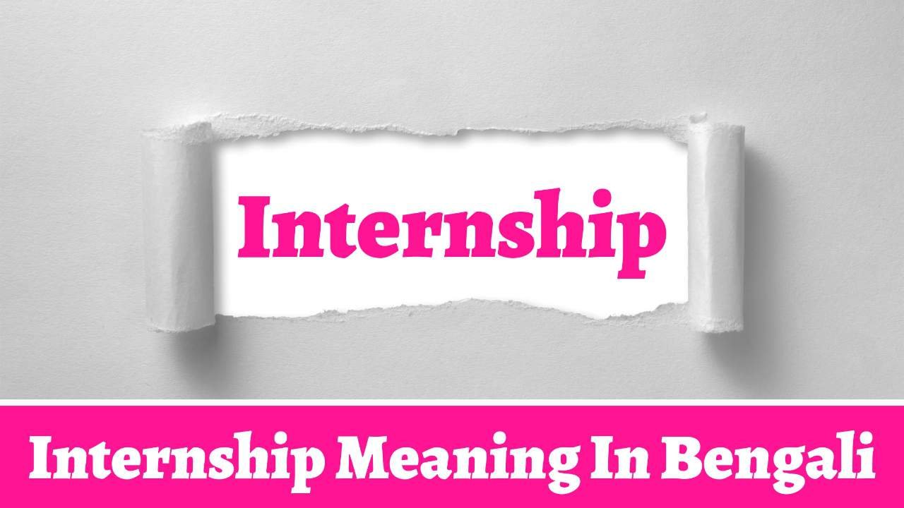 Internship Meaning in Bengali