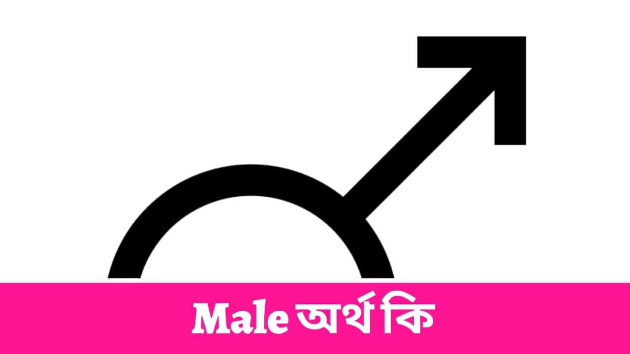 Male অর্থ কি