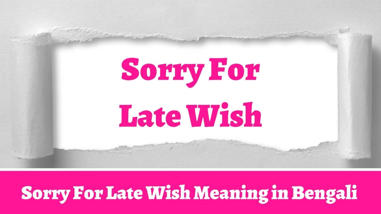 Sorry For Late Wish Meaning in Bengali