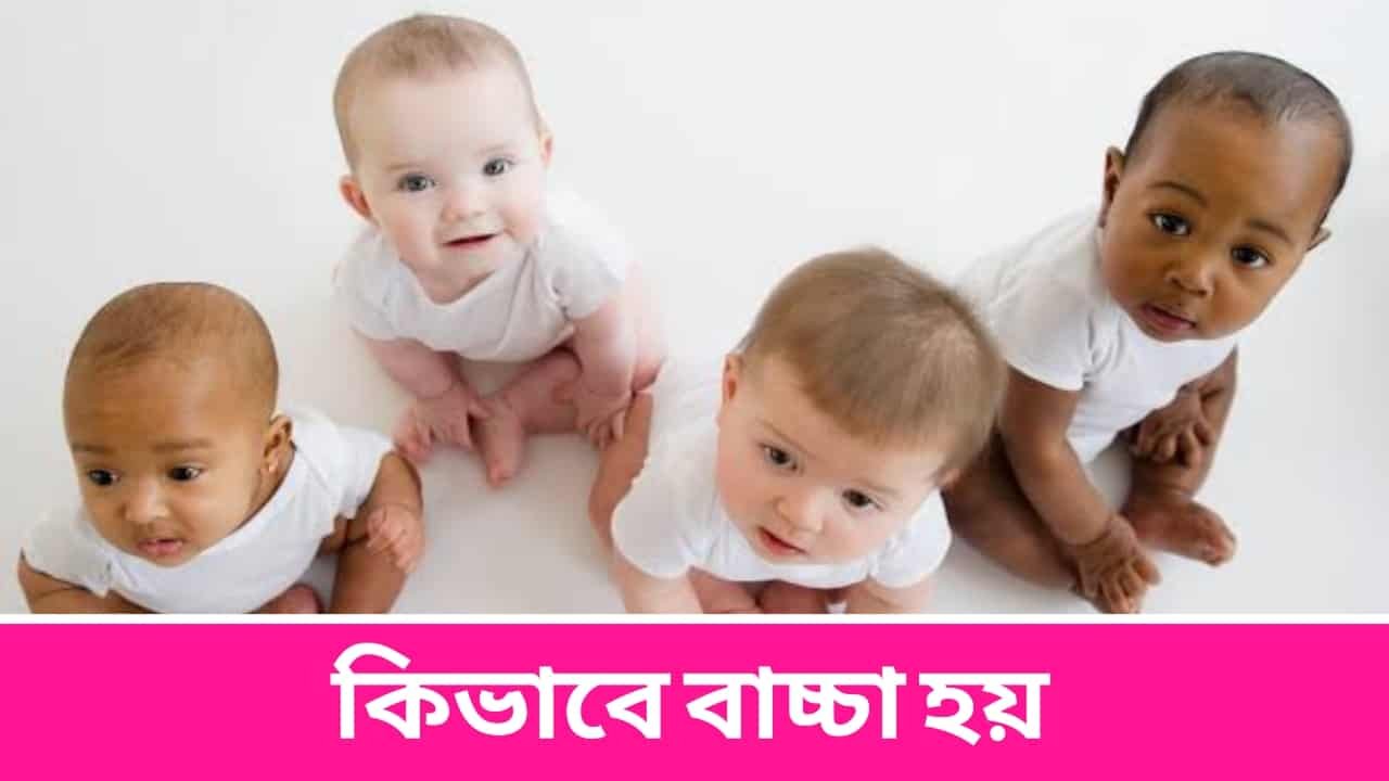 কিভাবে বাচ্চা হয়