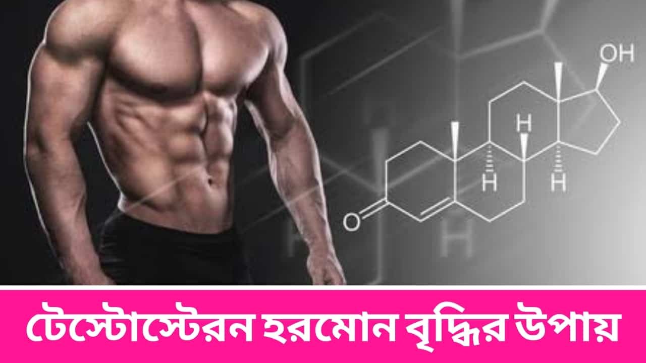 টেস্টোস্টেরন হরমোন বৃদ্ধির উপায়