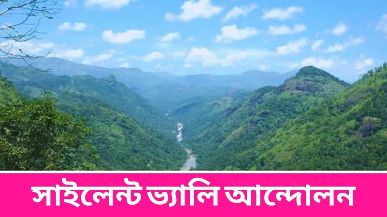 সাইলেন্ট ভ্যালি আন্দোলন