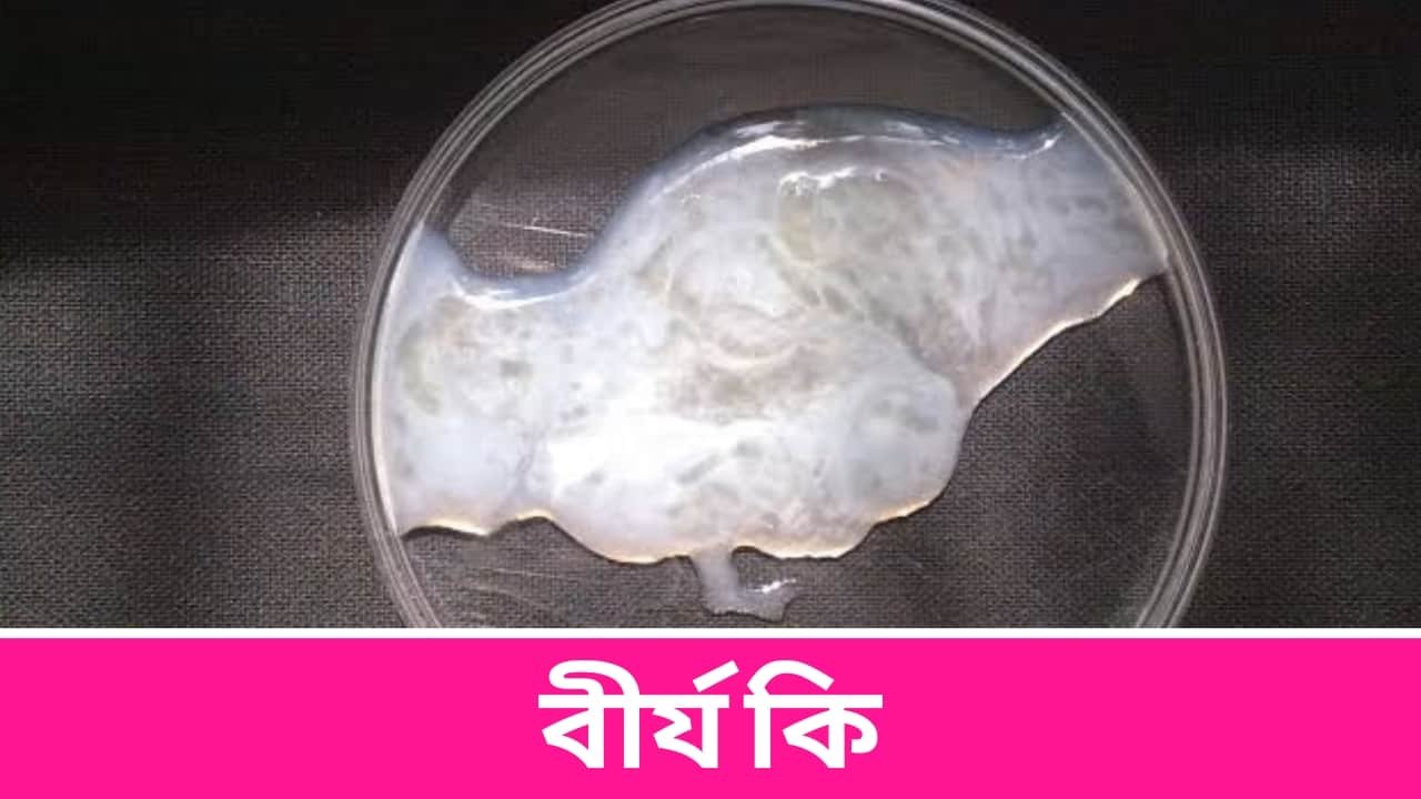 বীর্য কি