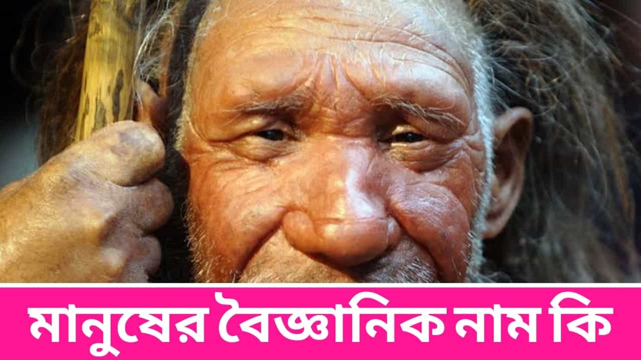 মানুষের বৈজ্ঞানিক নাম কি