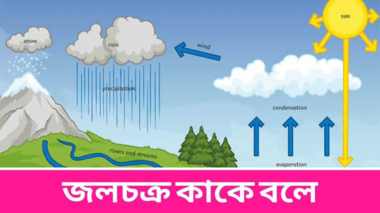 জলচক্র কাকে বলে