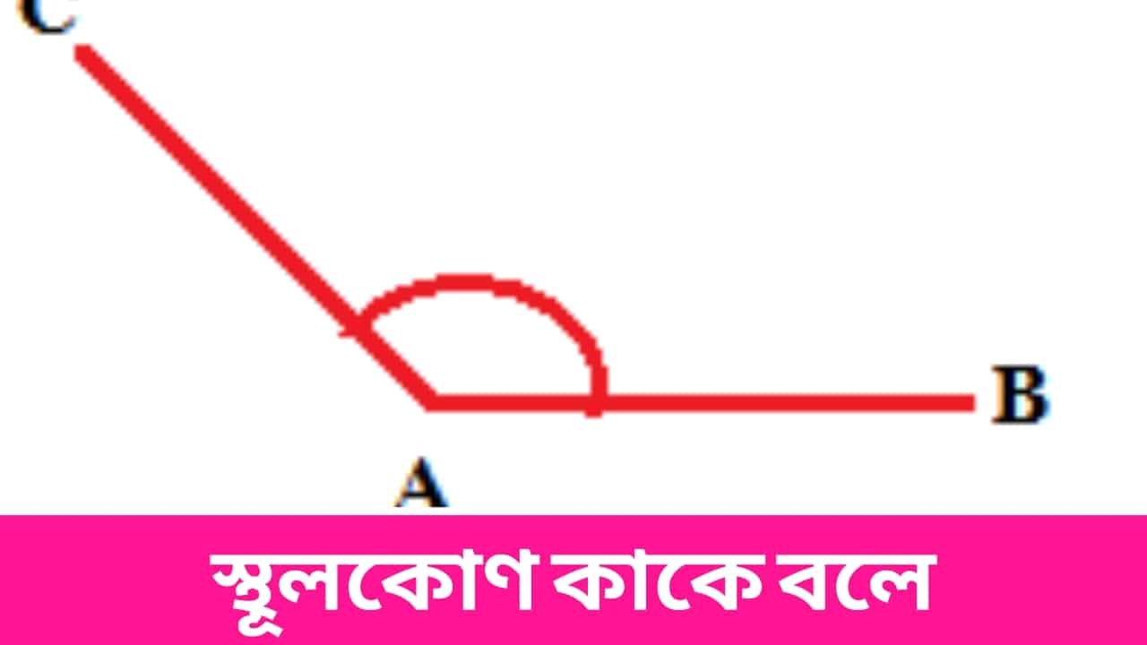 স্থূলকোণ কাকে বলে