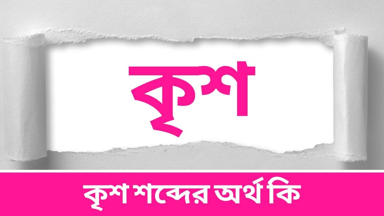 কৃশ শব্দের অর্থ কি