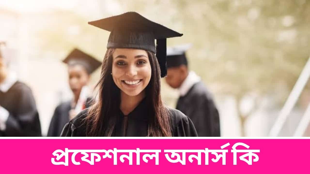 প্রফেশনাল অনার্স কি