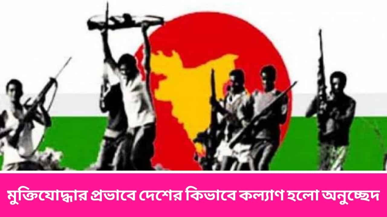 মুক্তিযোদ্ধার প্রভাবে দেশের কিভাবে কল্যাণ হলো অনুচ্ছেদ