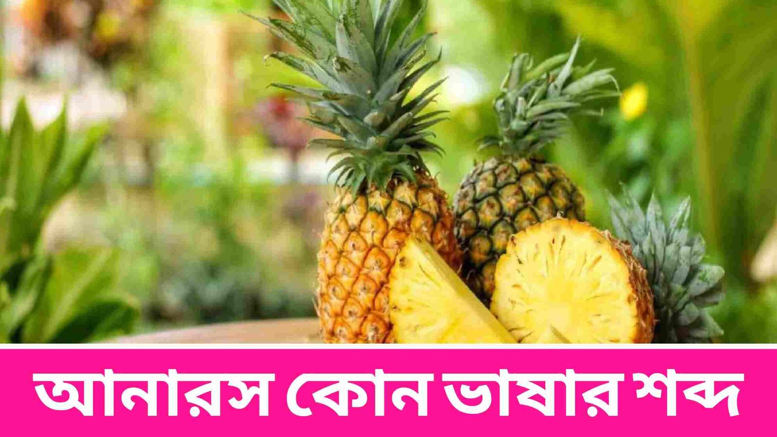 আনারস কোন ভাষার শব্দ