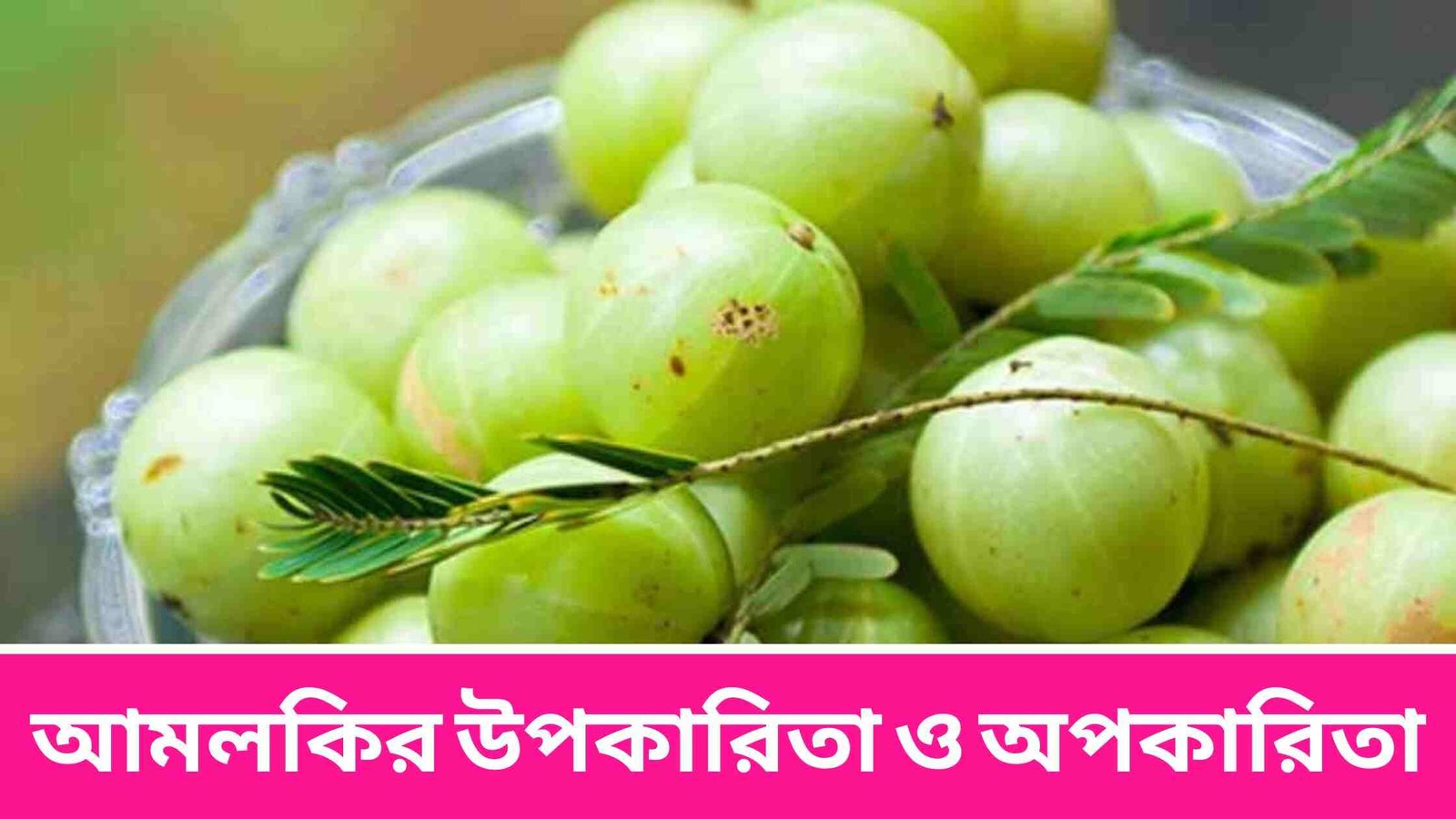 আমলকির উপকারিতা ও অপকারিতা