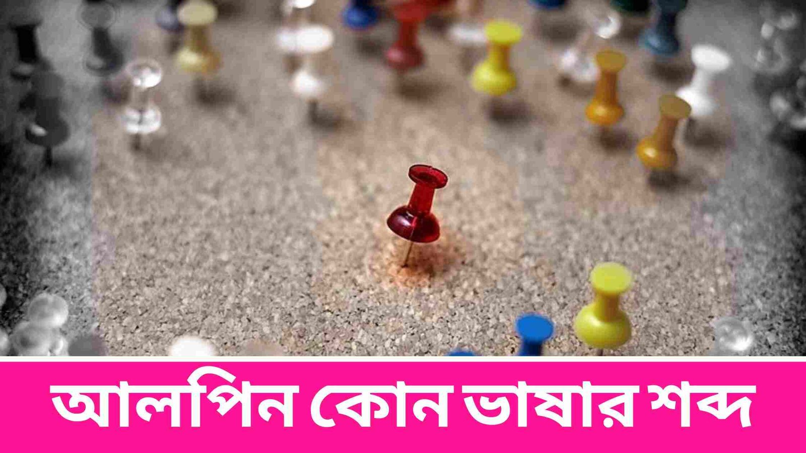 আলপিন কোন ভাষার শব্দ