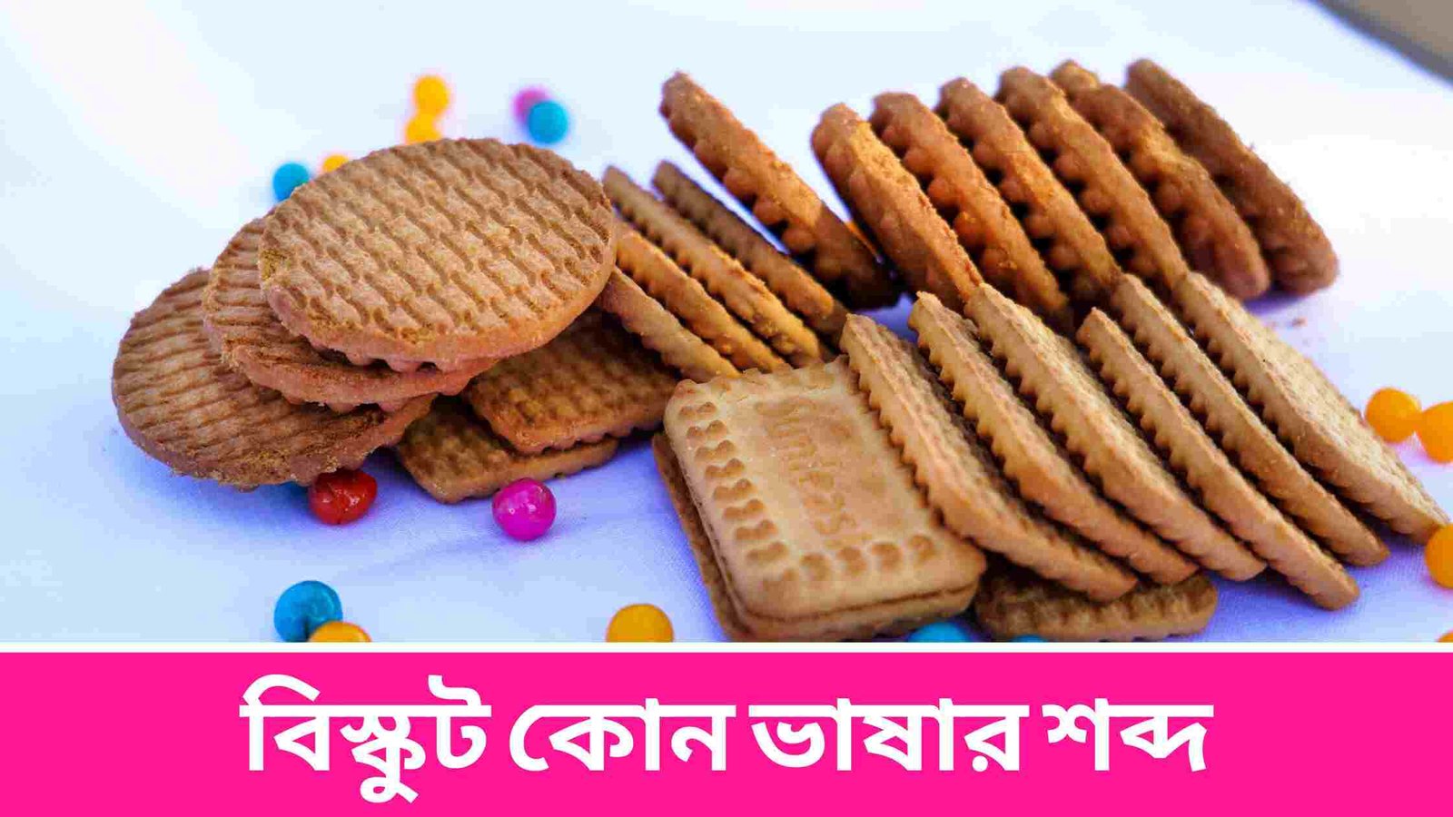 বিস্কুট কোন ভাষার শব্দ