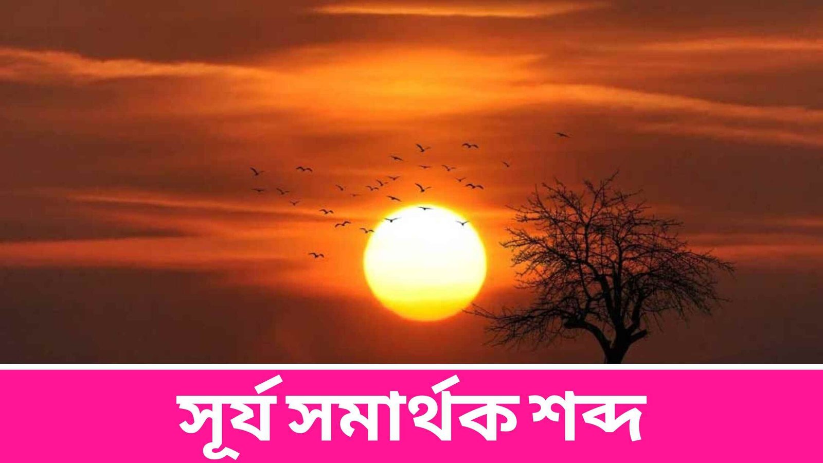 সূর্য সমার্থক শব্দ